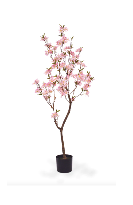 Kirsipuu (150cm)