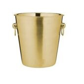 Jäänõu kuldne, Modern